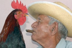 LORENZO VERA MORALES WITH ROOSTER IN TRINIDAD