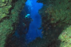 MARY BAY OF PIGS TUNNEL