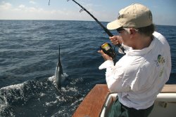 01-cover-guatemala-sport-fishing-olander
