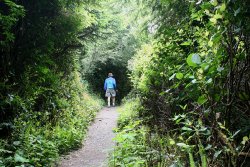 sooke botanical bay loop trail david