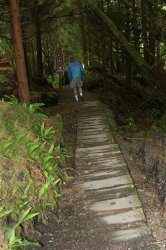 sooke botanical bay loop trail planks david and scooter