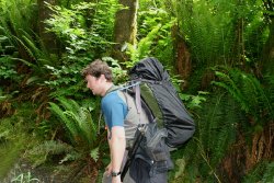 Sooke botanical bay loop trail juca de fuca marine trail hiker