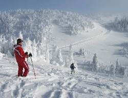 Enjoying the runs at the top of West Bowl, Sun Peaks, BC, Canada. Photo by Yvette Cardozo, www.cardozohirsch.com