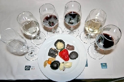 Seminar on pairing chocolate with wines. Icewine festival, Sun Peaks, BC, Canada. Photo by Yvette Cardozo, www.cardozohirsch.com