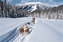 Dogsledding at Sun Peaks with ski runs in background...one of many non ski activities. Photo by Sun Peaks Resort.