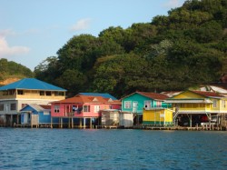 Village of Oakridge Roatan Village of Oakridge Roatan