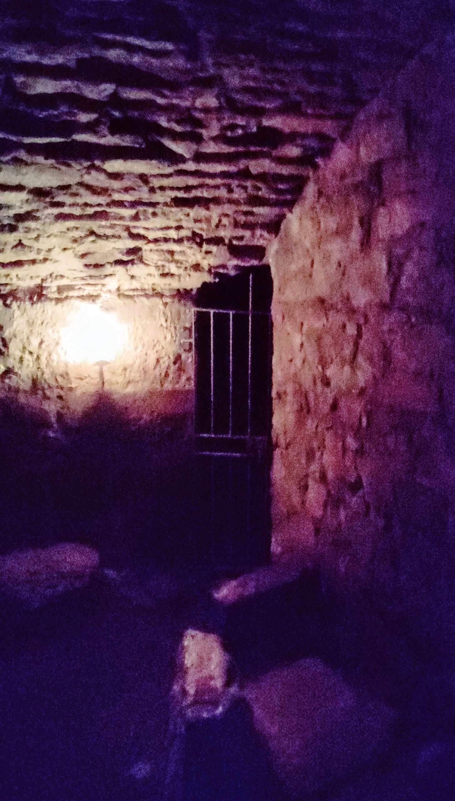 edinburgh vaults without tour